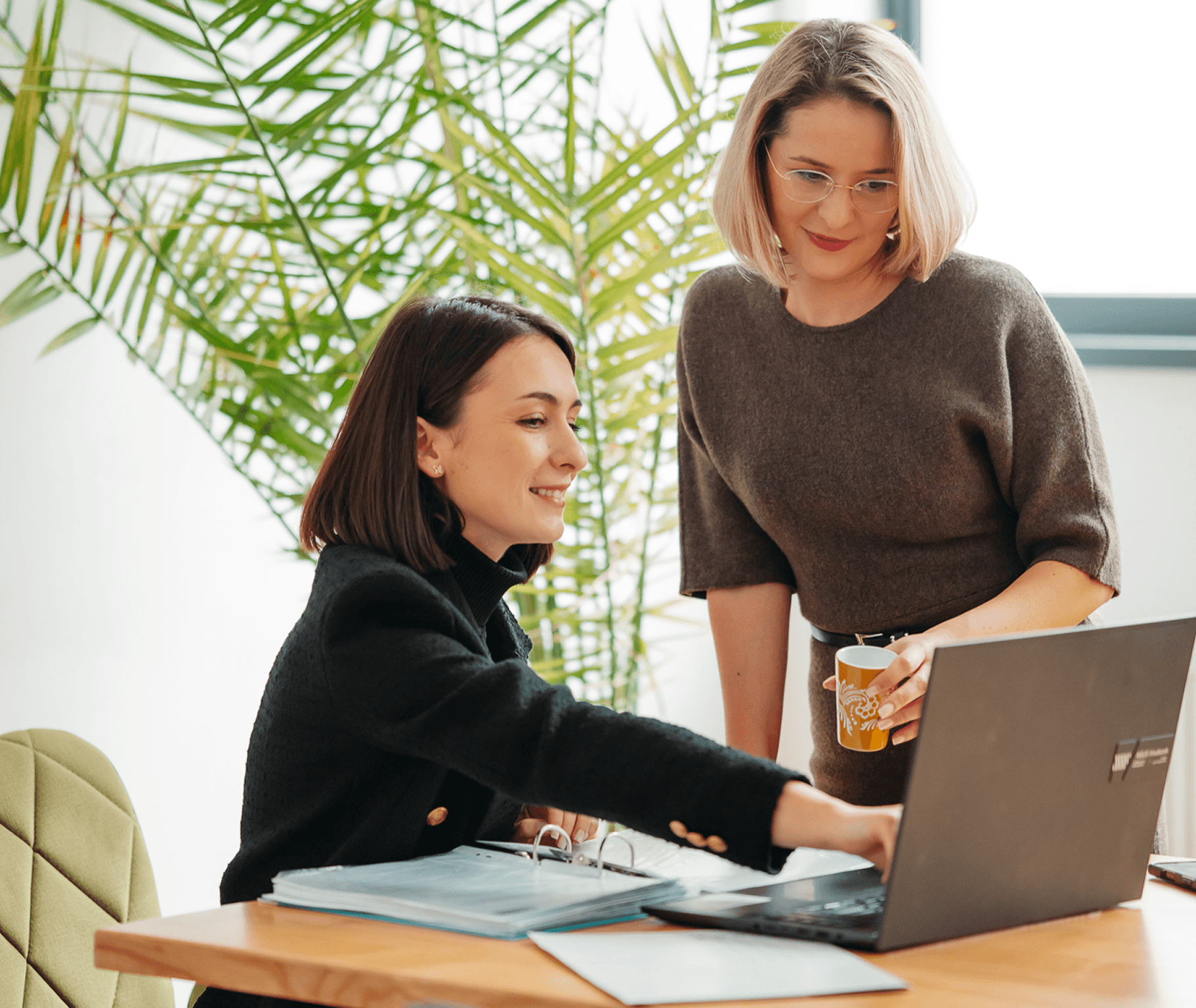 Modern open office lounge with large arched windows, plants, and soft round seating in white and terracotta tones, with people walking and working on laptops.