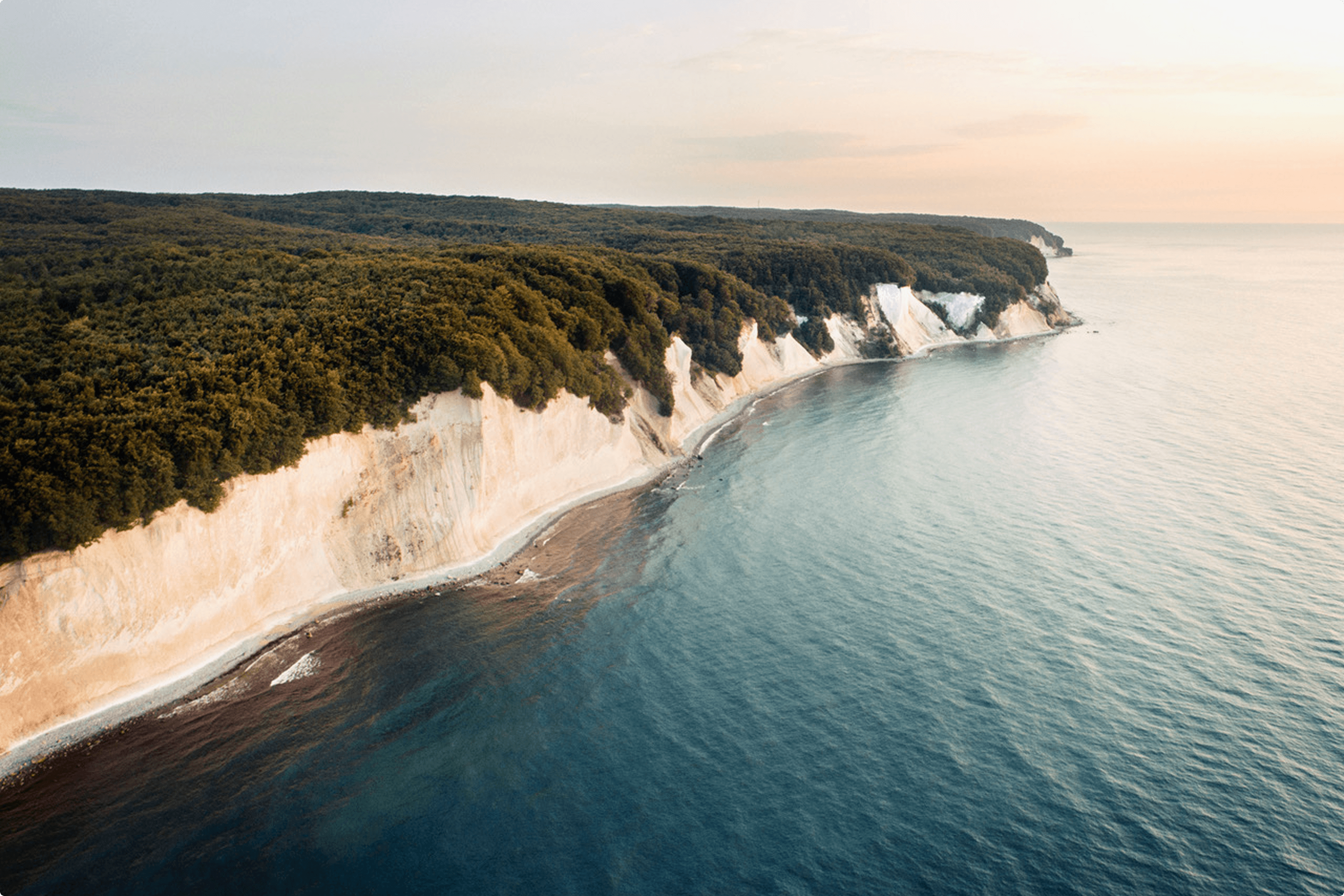Forested cliffs meet the sea at sunset