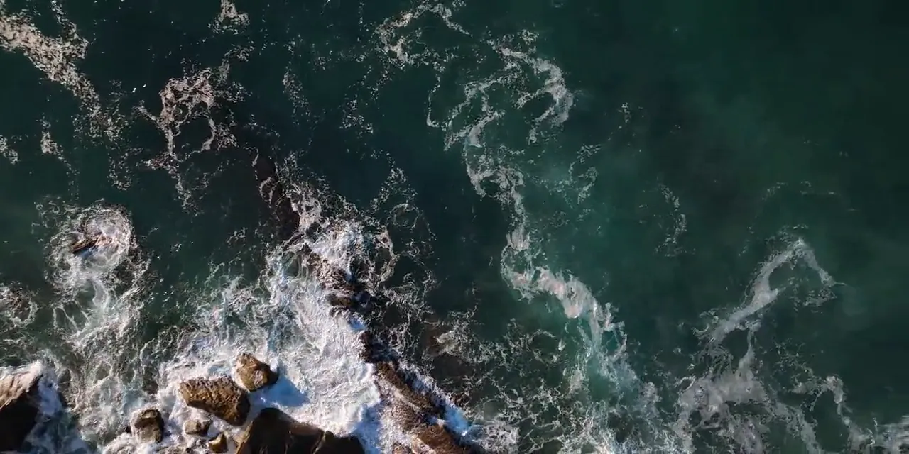 Frame from Low Tide