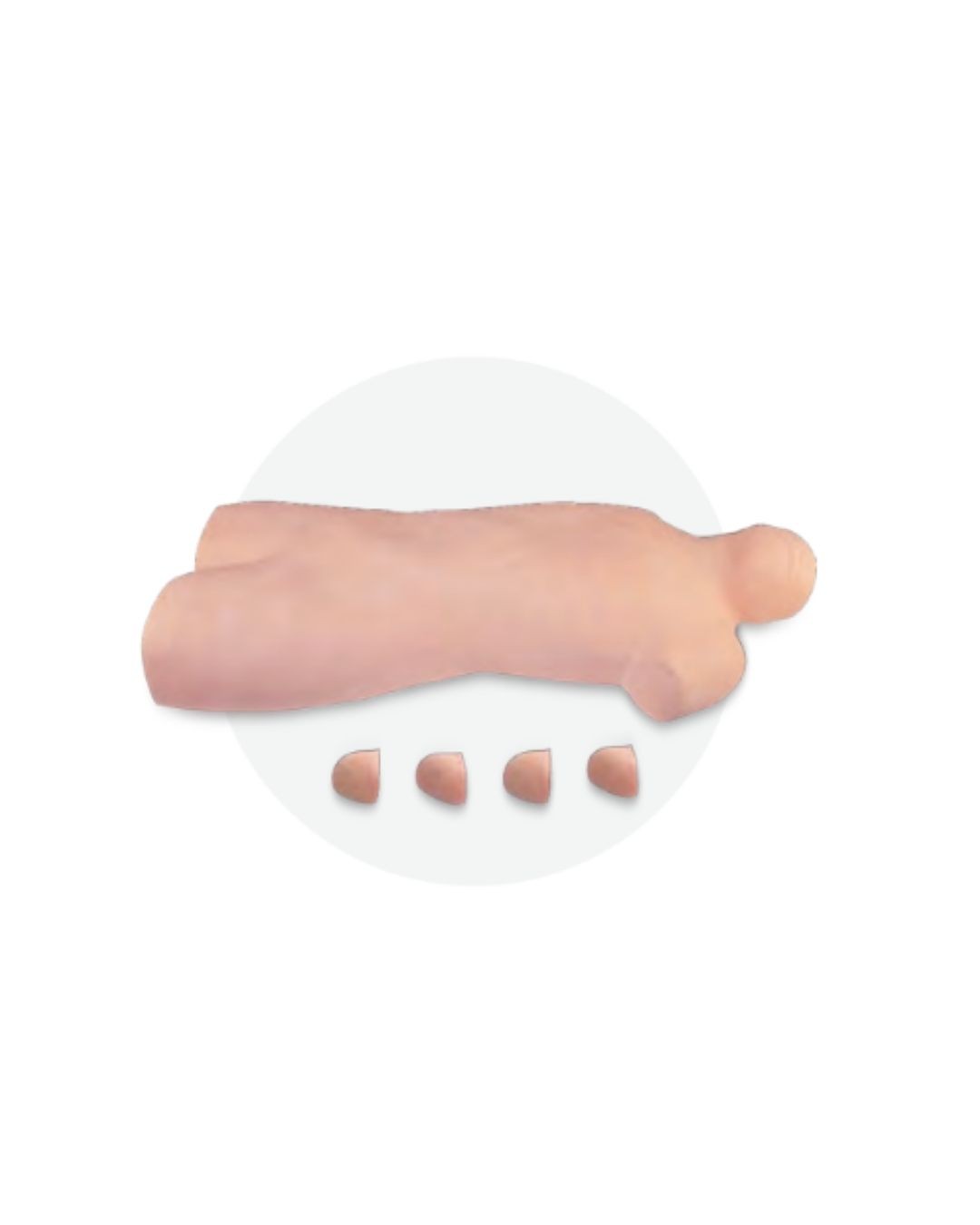 Abdominal Shifting Dullness Percussion and Puncture Model