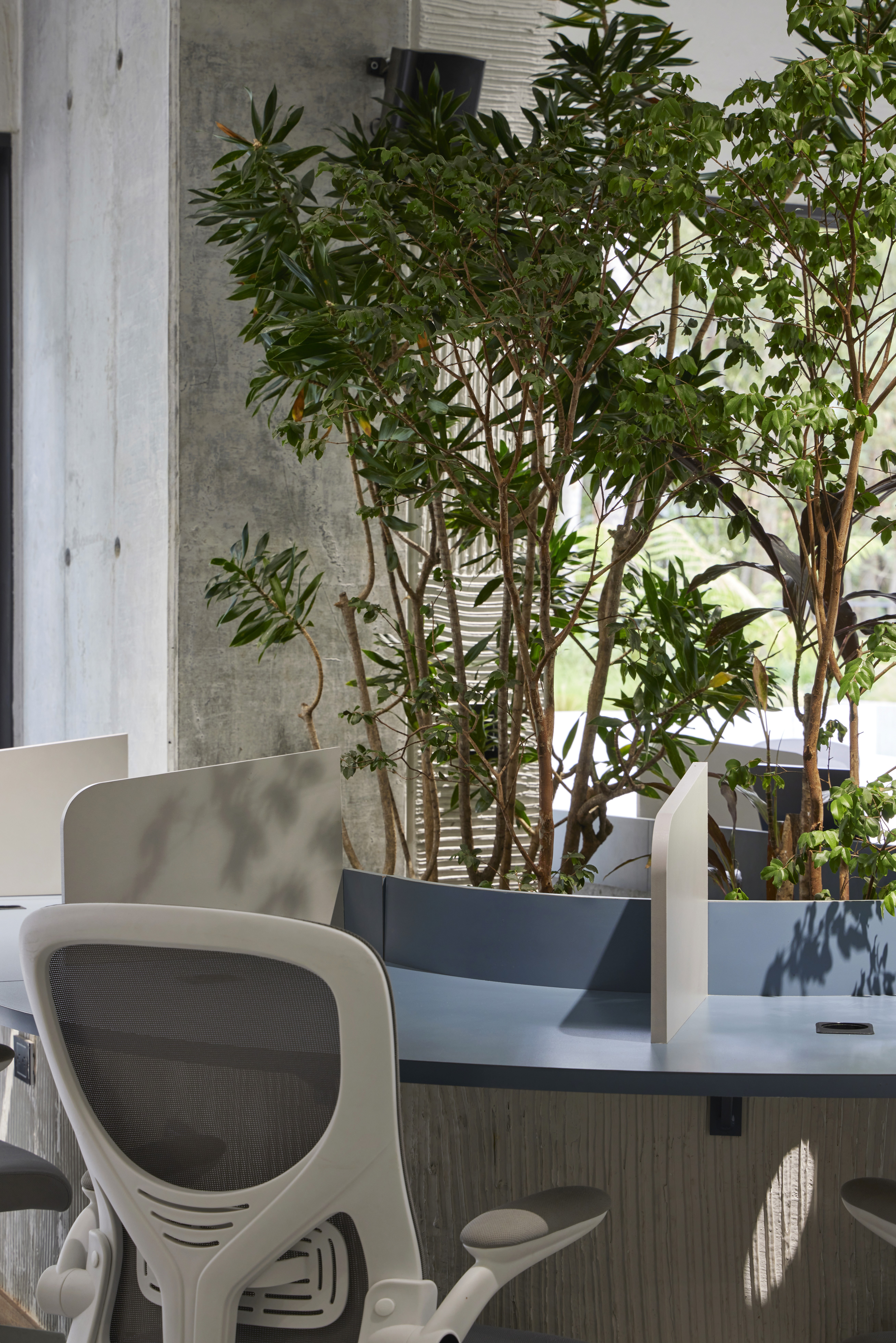 Double-height interior with flowing sculptural forms and warm raking light