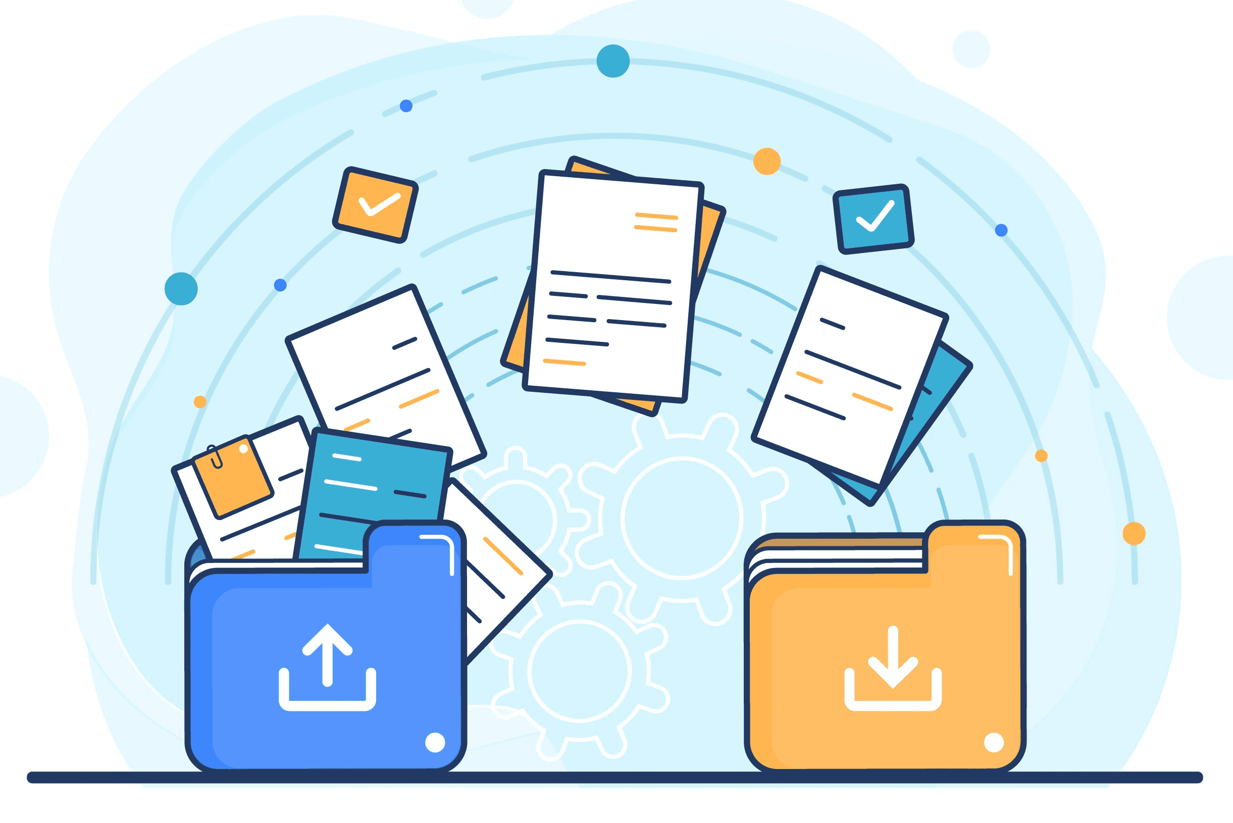 photo and video storage software