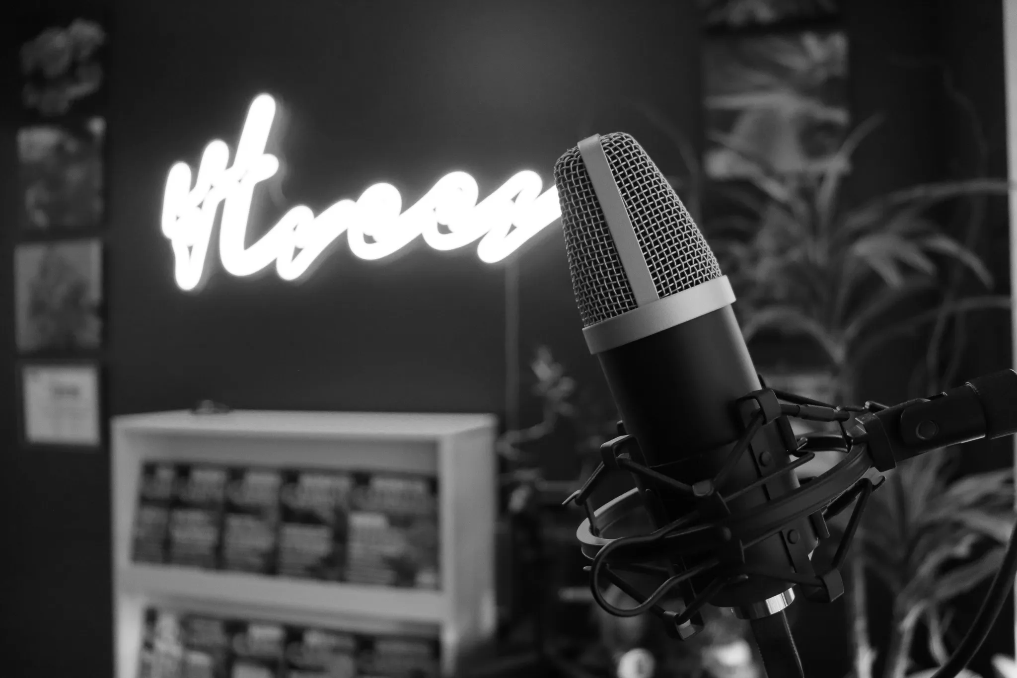 4trees  cannabis building office and mic