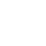 WordPress Logo