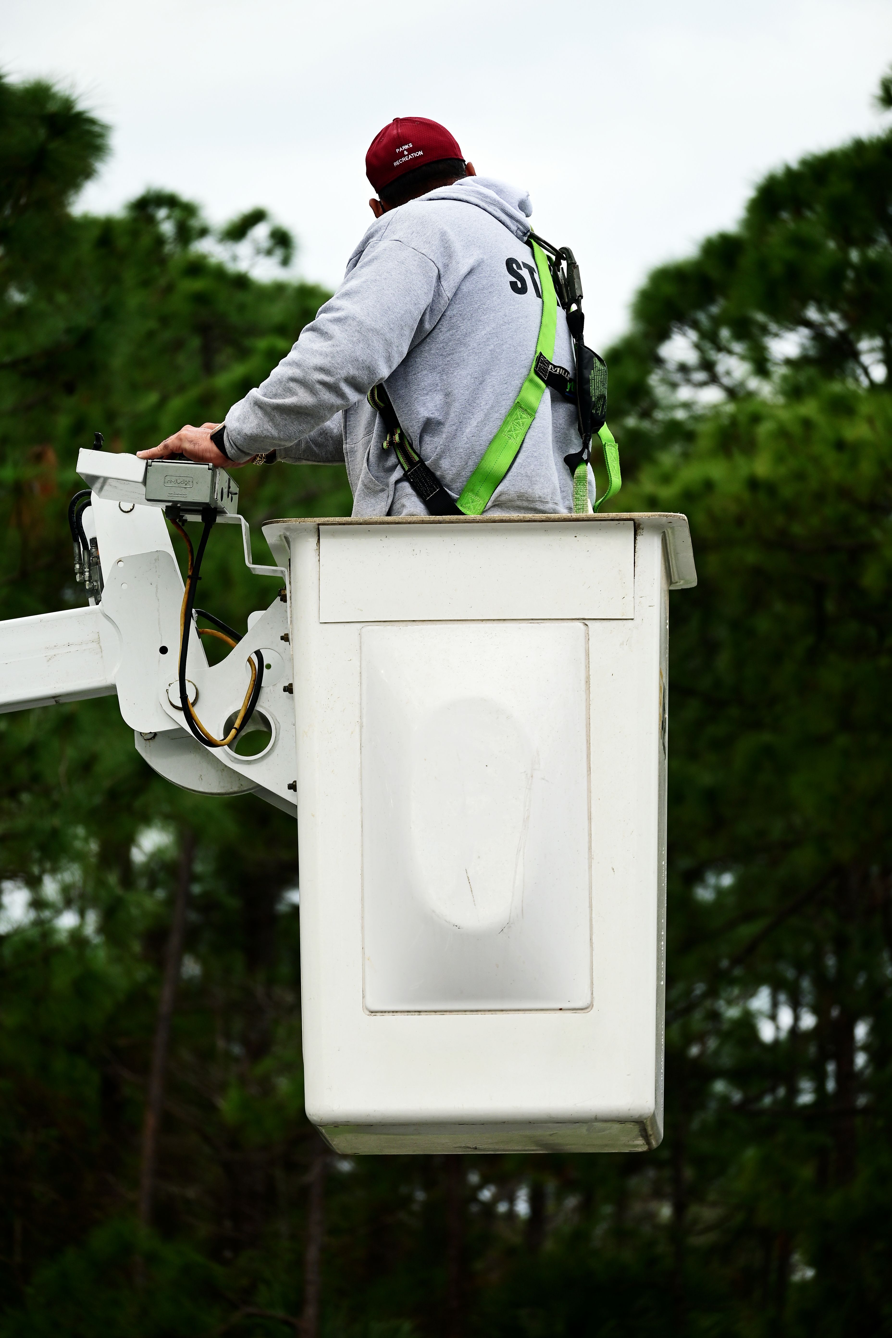 a-worker-in-a-lift-bucket-operating-outdoors-among-trees-wearing-safety-harness- - nelson-axigoth (pexels)