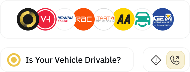 An image of Dreelio's in app customization feature