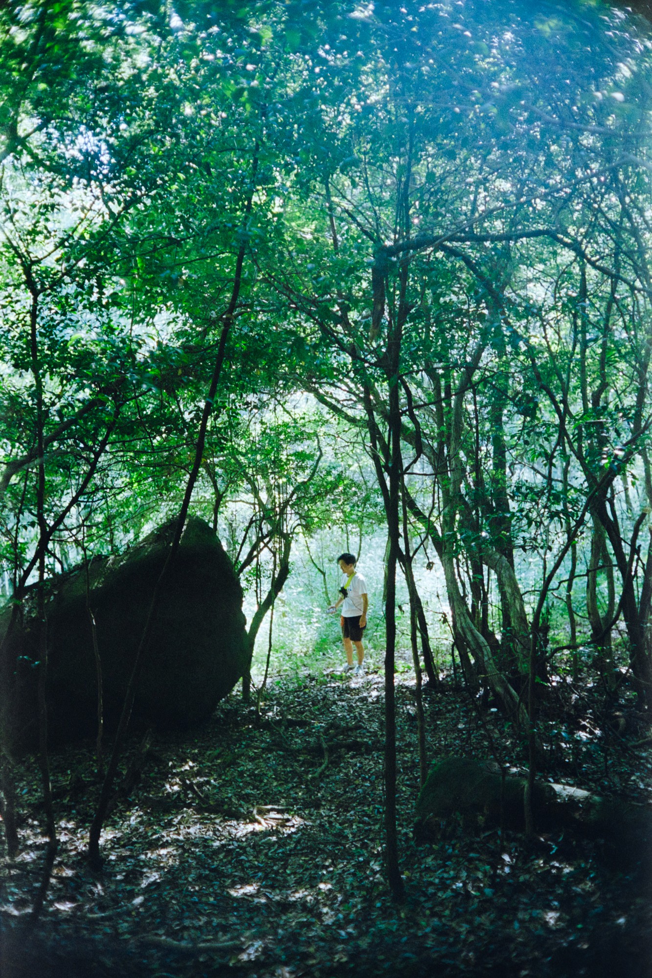 Taisei Matsumoto, 2023 exhibition view 07