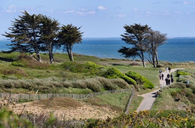 photo de la région avec plaines d'herbe