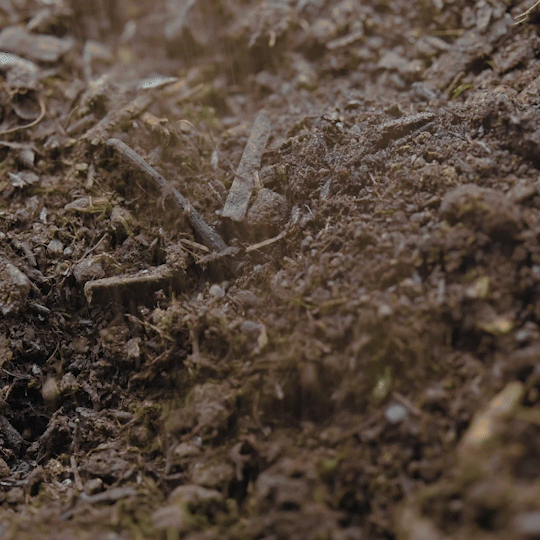 Animation showing the gathering of agricultural and industrial by-products. These second-generation waste feedstocks contain sequestered biogenic carbon from the atmosphere and serve as the sustainable, plant-based origin for Shellworks' plastic-free VIVOMER material.
