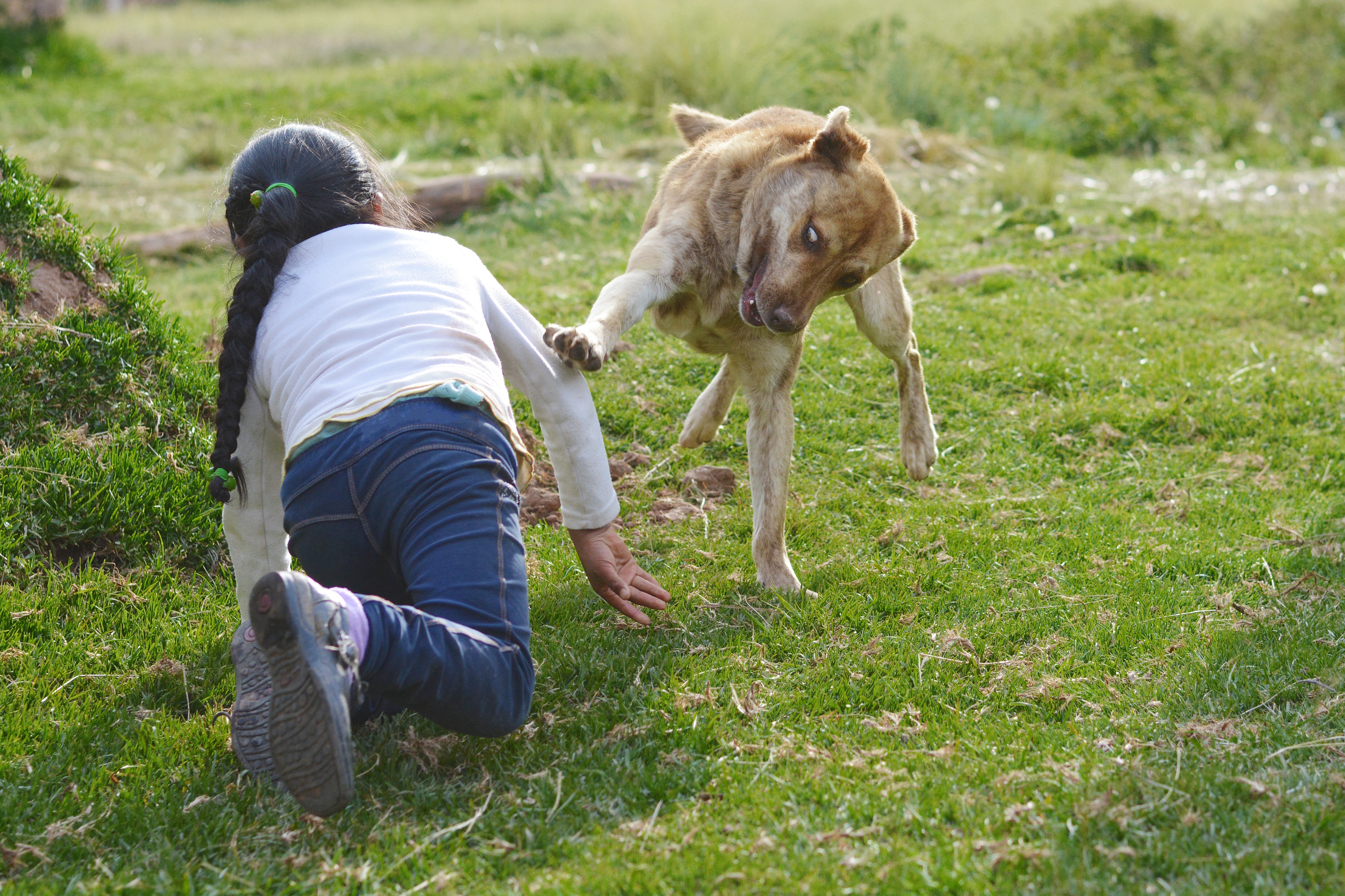 Collecting donations