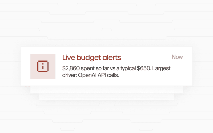 Live budget alerts in realtime, before the bills arrive.