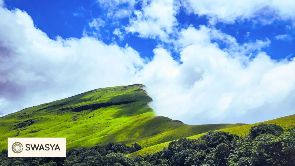 Best time to visit Chikmagalur 