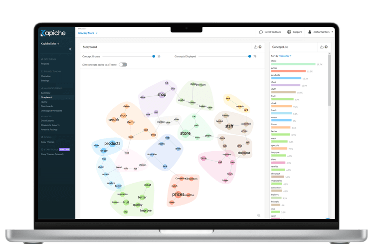 Kapiche storyboard view