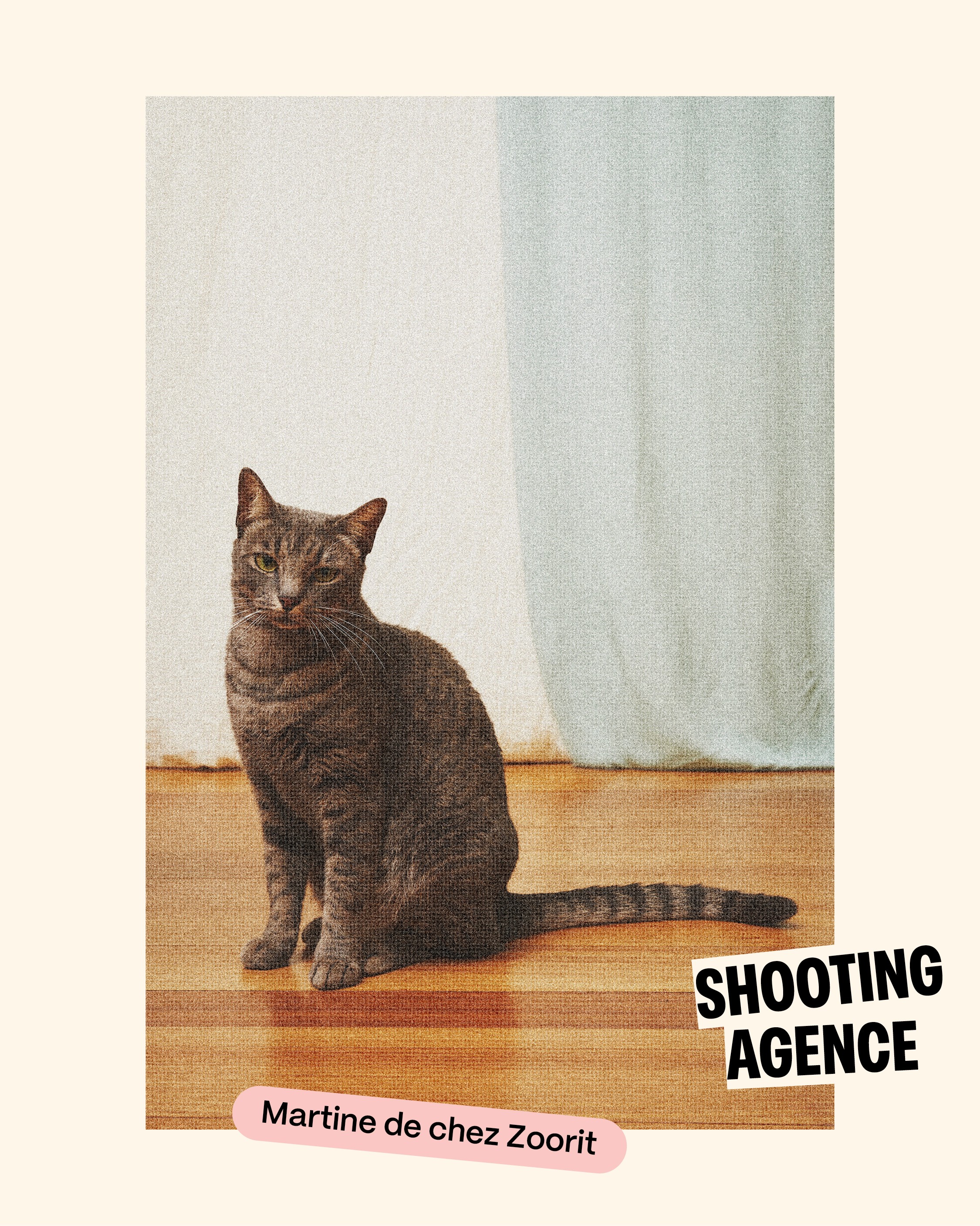 Modern home office setup with a monitor, ergonomic chair, keyboard, and indoor plants near a window with blinds.
