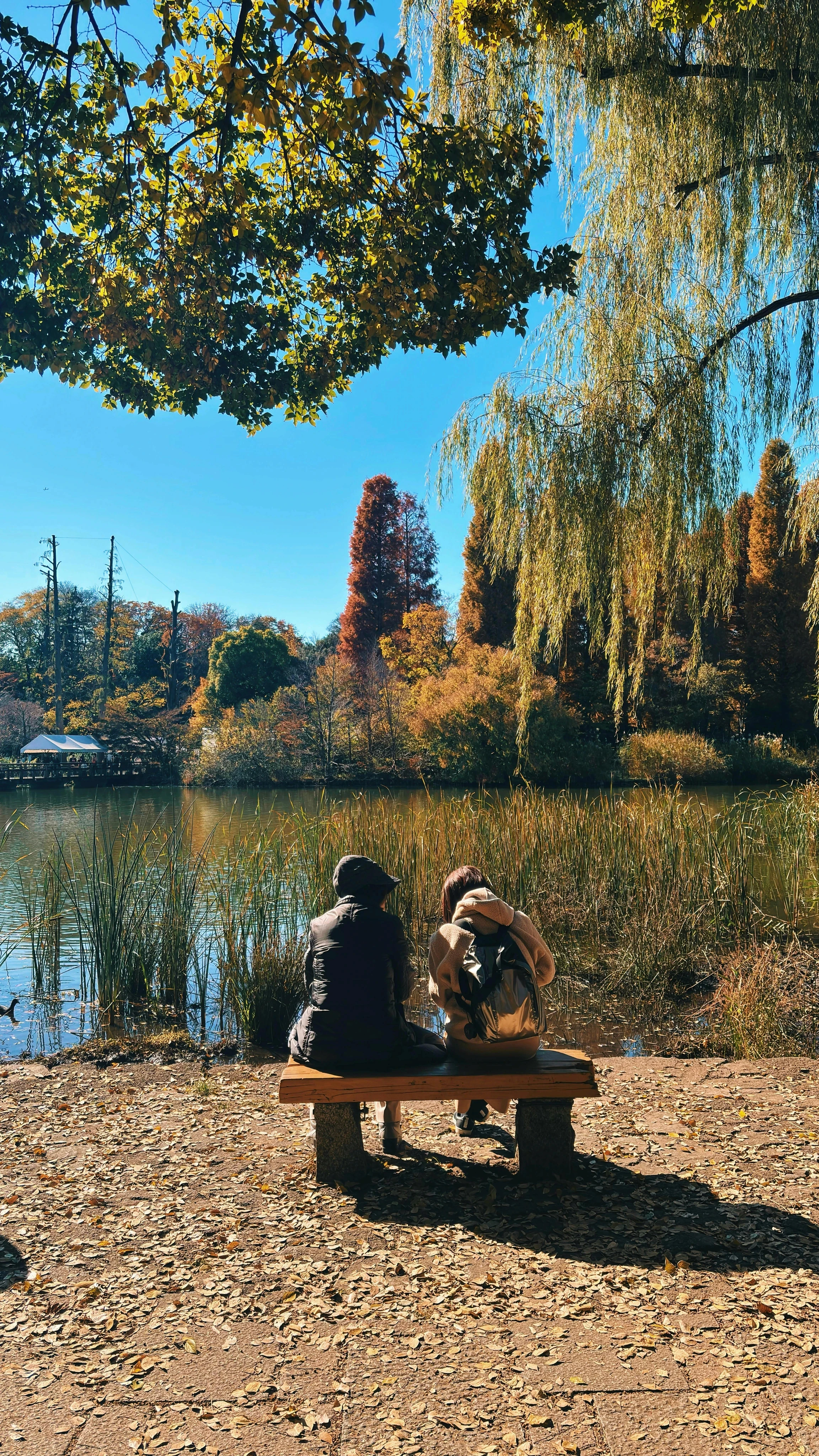 sensoji food and temple