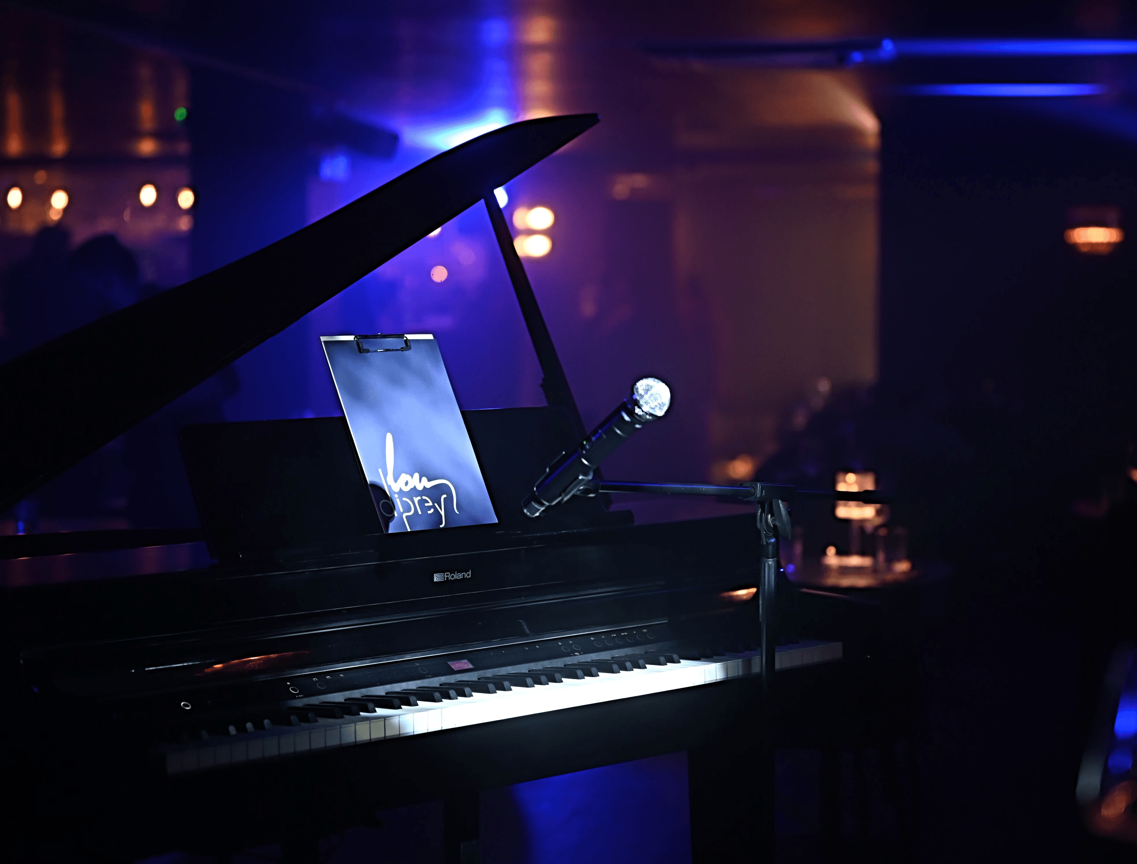 Une chanteuse pop performant sur la scène du cabaret Lou Diprey pendant le dîner-spectacle Nuit Interdite