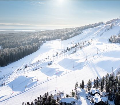Aerial winter view of a snow-covered ski resort with slopes, trails, and surrounding forest, illustrating terrain layout and elevation.