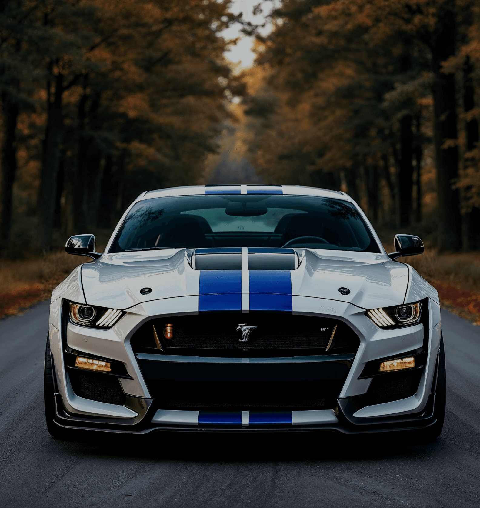 Imagem de um mustang branco