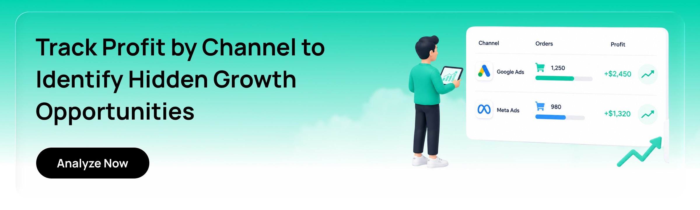 Track Ecommerce Profit by channel