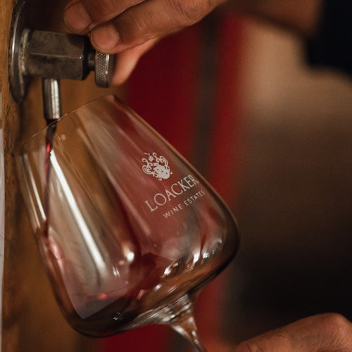 Barrel Tasting Brunello di Montalcino