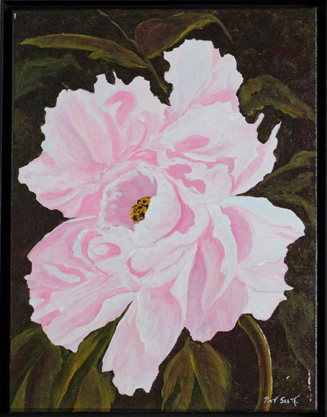 A light pink peony takes center canvas, displaying its ruffled petals against the dark background.