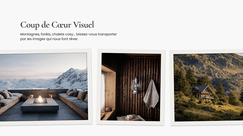 Mountain chalet imagery used to create a warm and trustworthy atmosphere for property owners