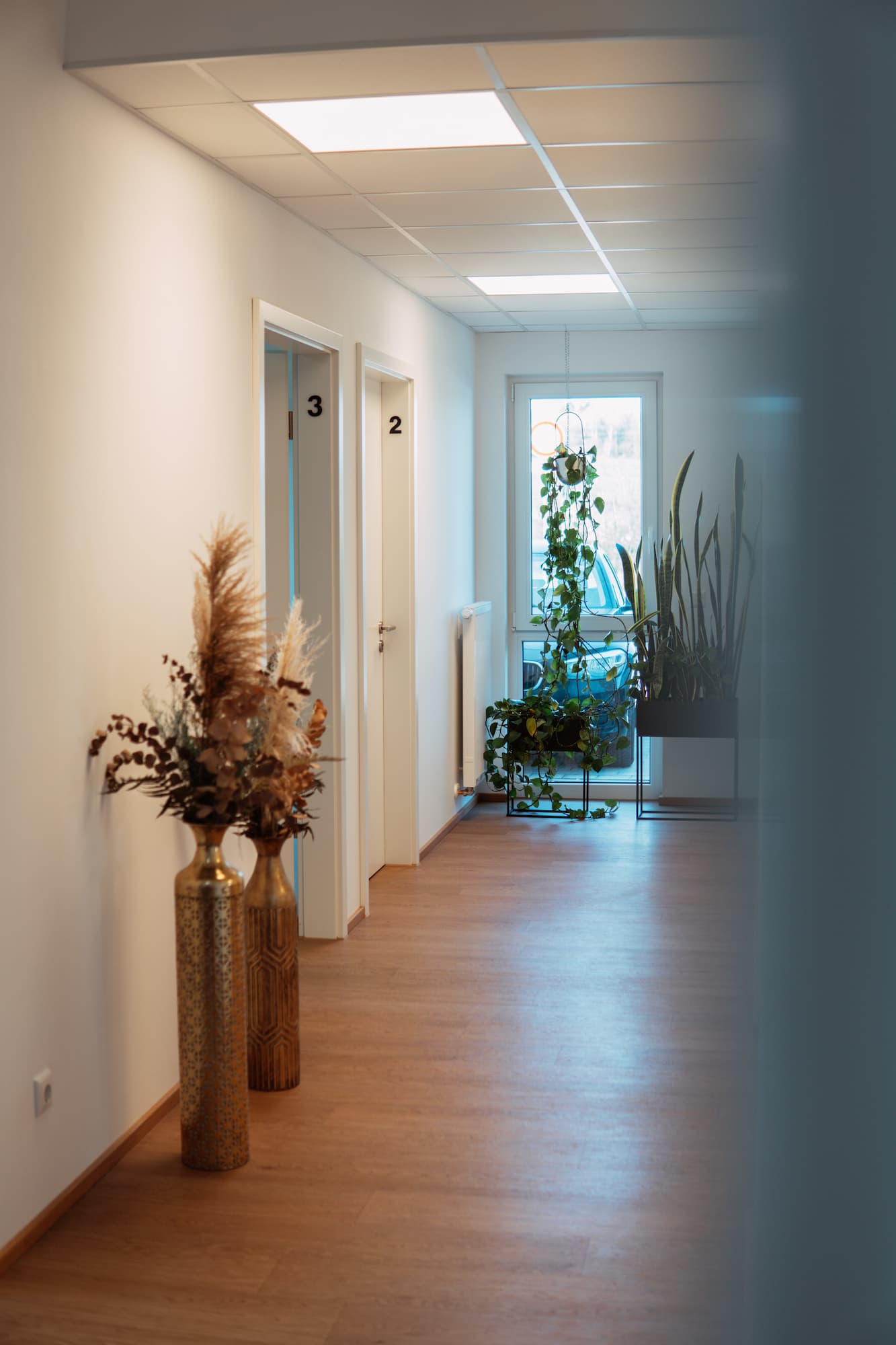 physiotherapie-fleissig-laeng-arnstorf-heller-praxisgang
