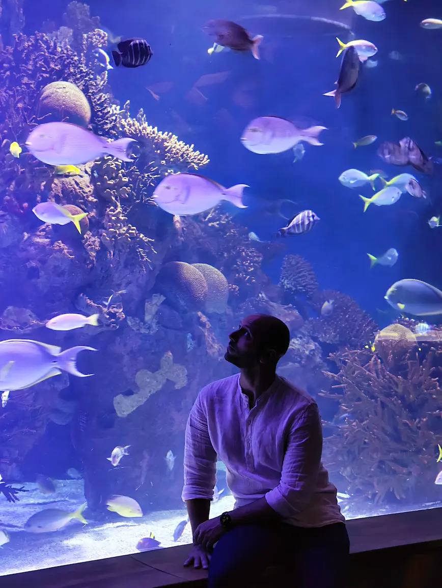 In mezzo ai pesci di Valencia