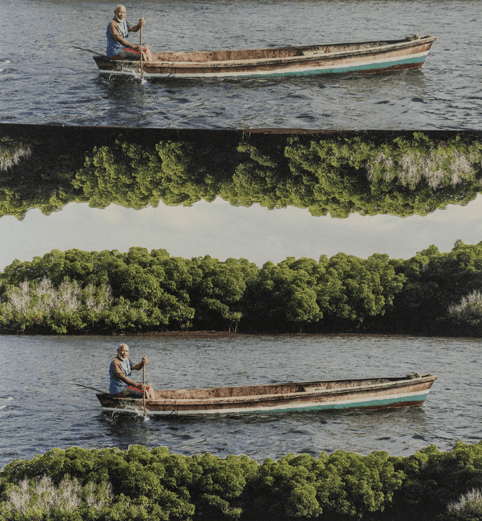 Project Gallery Image for 50% width of the screen #1