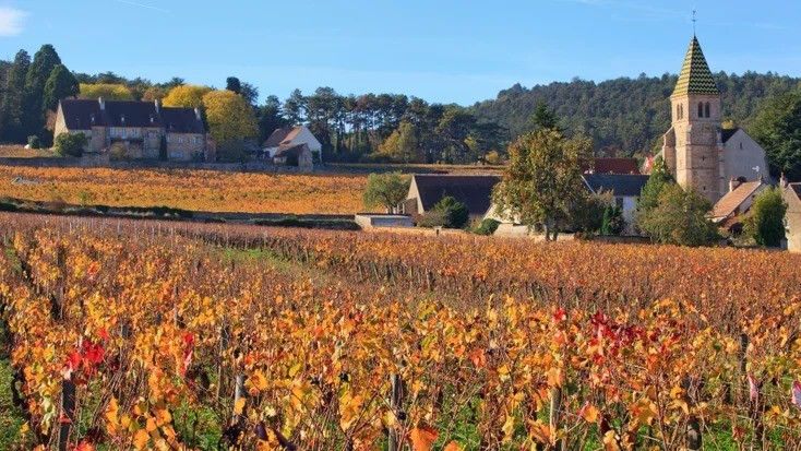 burgundy顏色 勃根地十大酒莊 勃根地紅酒價格 勃根地白酒產區 勃根地分級 勃根地公國 bourgogne發音 勃根地紅酒特色 勃根地紅酒推薦 勃根地紅酒年份 勃根地紅酒杯 勃 根地 地圖 勃根地法文 burgundy顏色 burgundy紅 burgundy意思 法國酒推薦 法國酒介紹 法國酒莊排名 法國酒莊分級 法國紅酒五大產區 法國葡萄酒產區排名 法國 十大 酒 莊 法國 二級 酒 莊