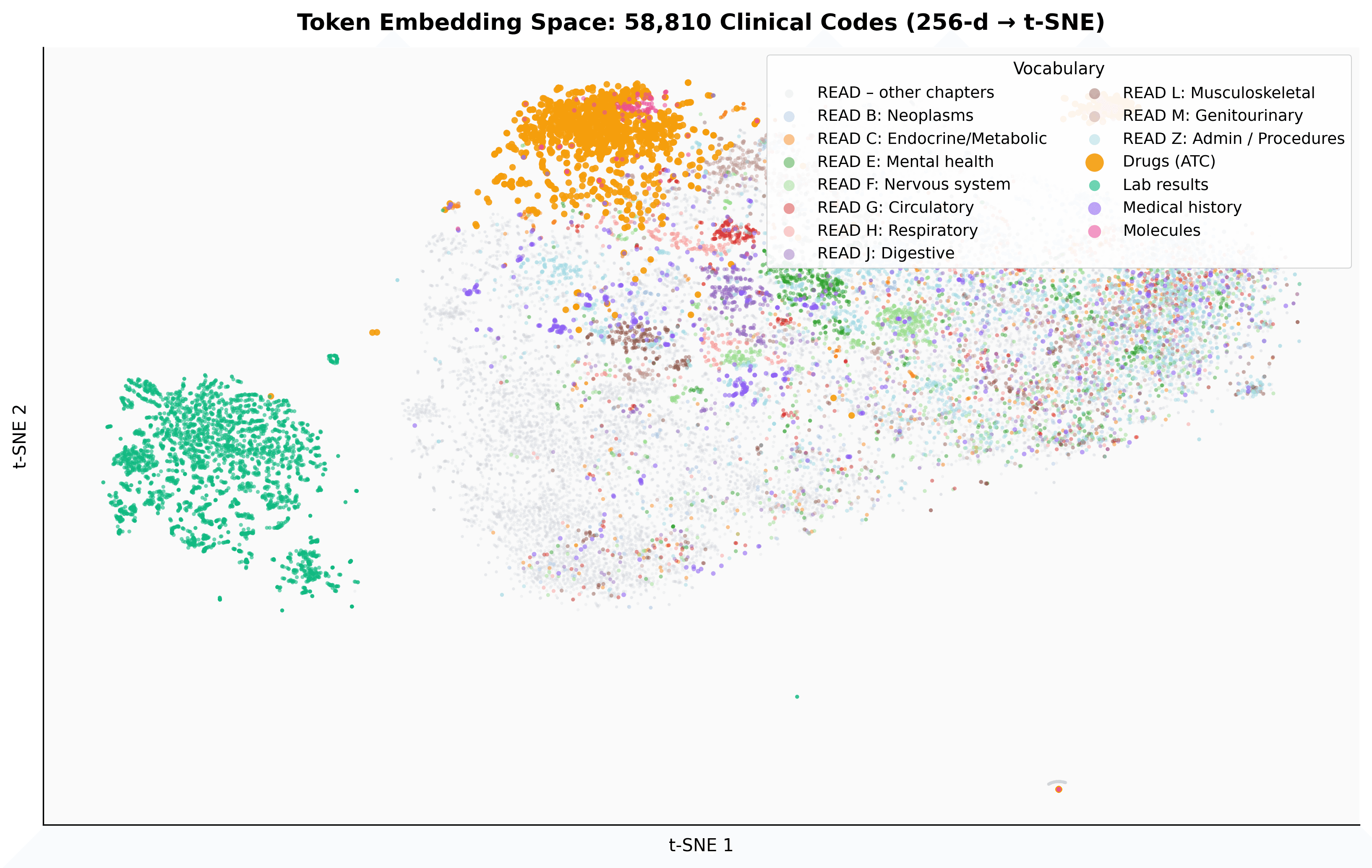 t-SNE map of 58,810 contextual token embeddings coloured by vocabulary type and READ chapter. Drugs (ATC) form an orange cluster, lab results a teal cluster, and READ diagnosis chapters spread across the space, with same-specialty drugs, diagnoses and labs co-locating.