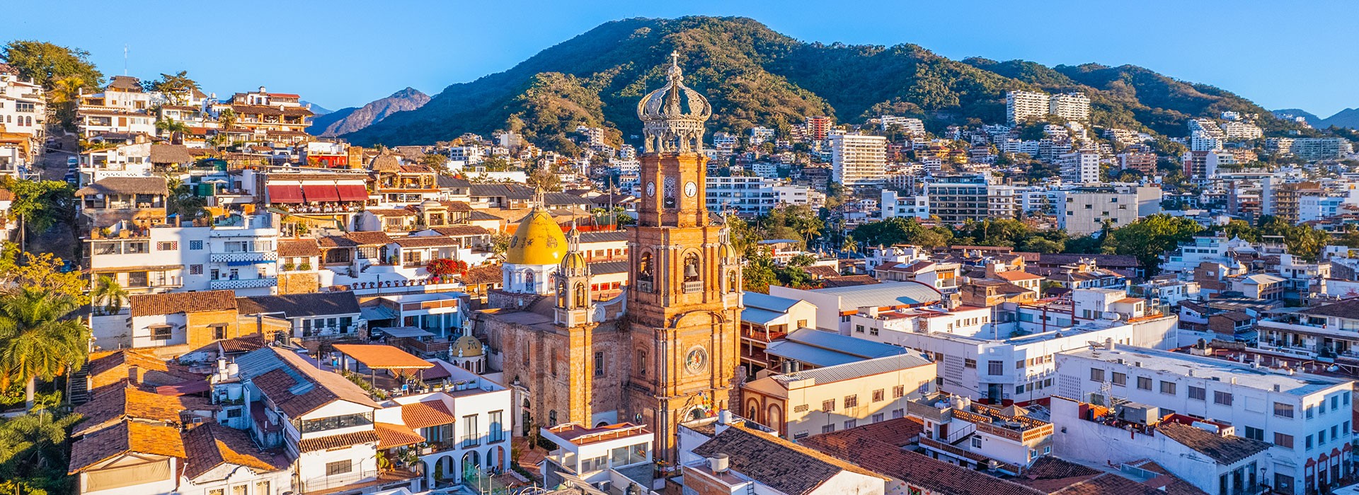 birds flying above white and gray house during daytime
