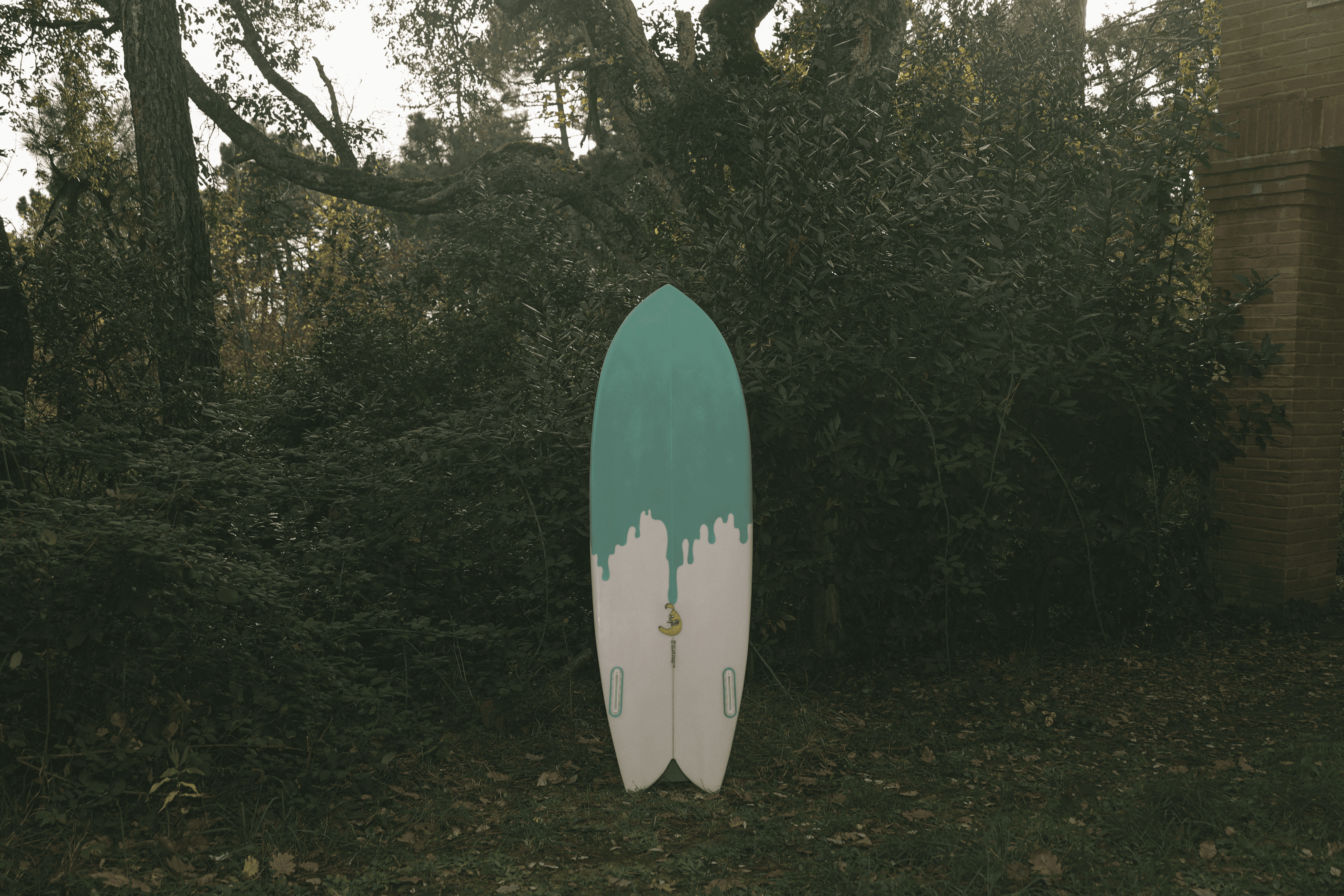 Modello Lady Finger, tavola da surf custom con disegno a gocciolamento verde acqua sulla coda bianca, in piedi in un ambiente boschivo e ombreggiato.