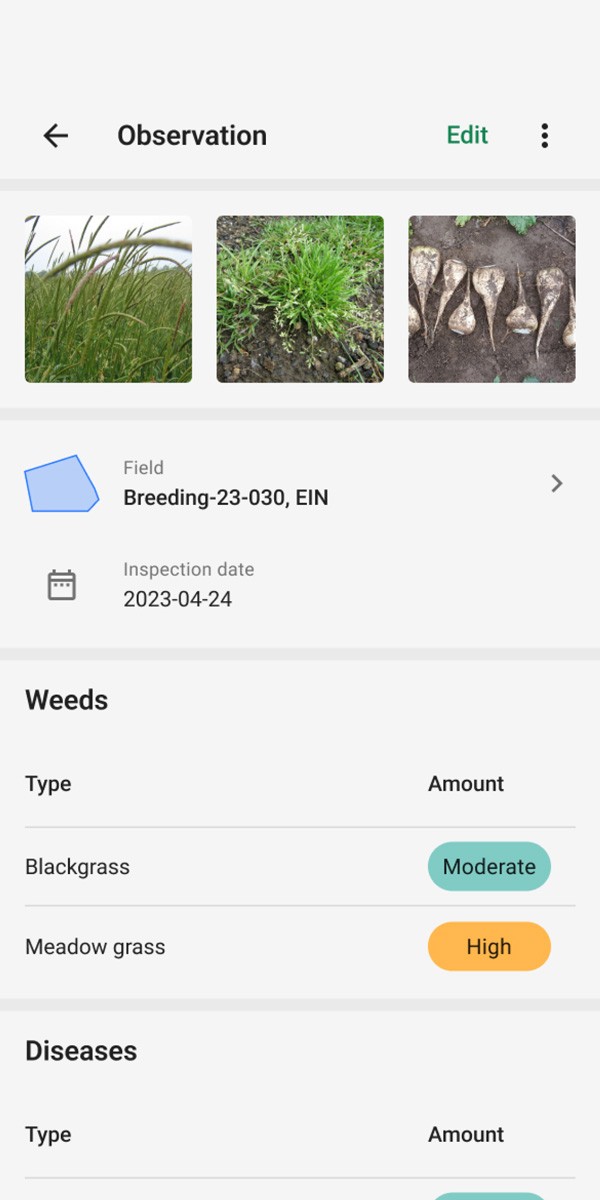 Mockup of the observation detail page of the KWS Field Explorer mobile app on smartphone