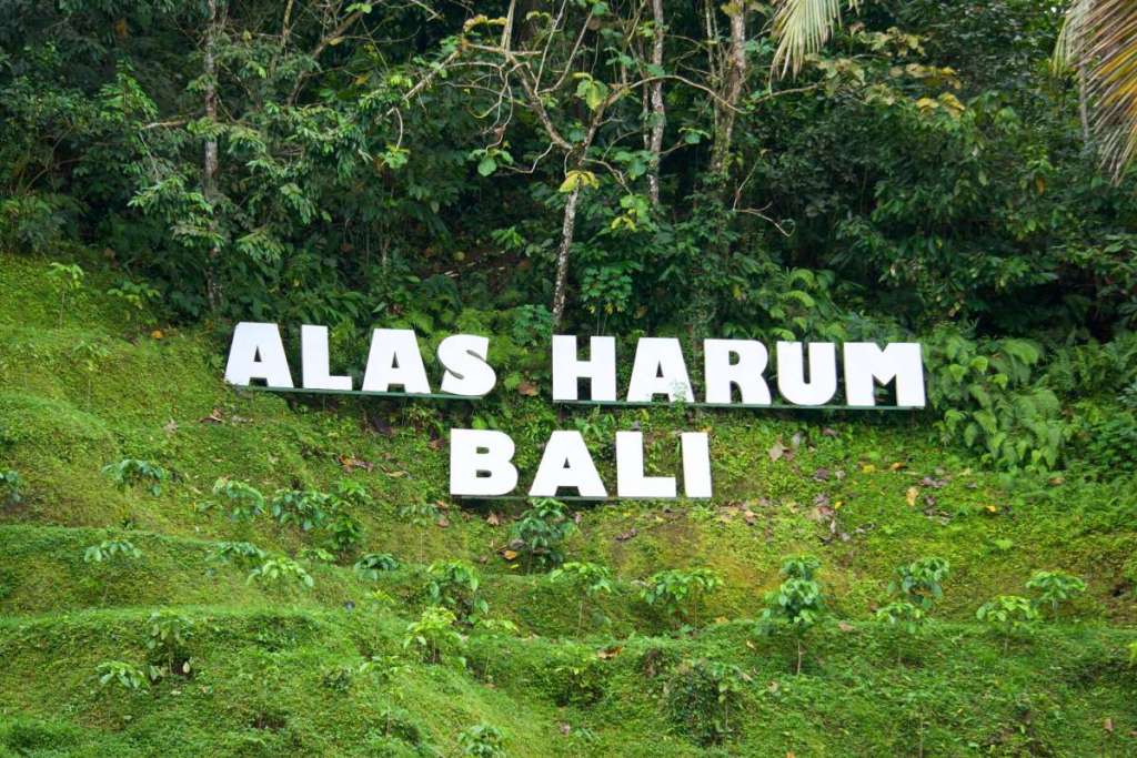 Alas Harum Bali sign, Ubud