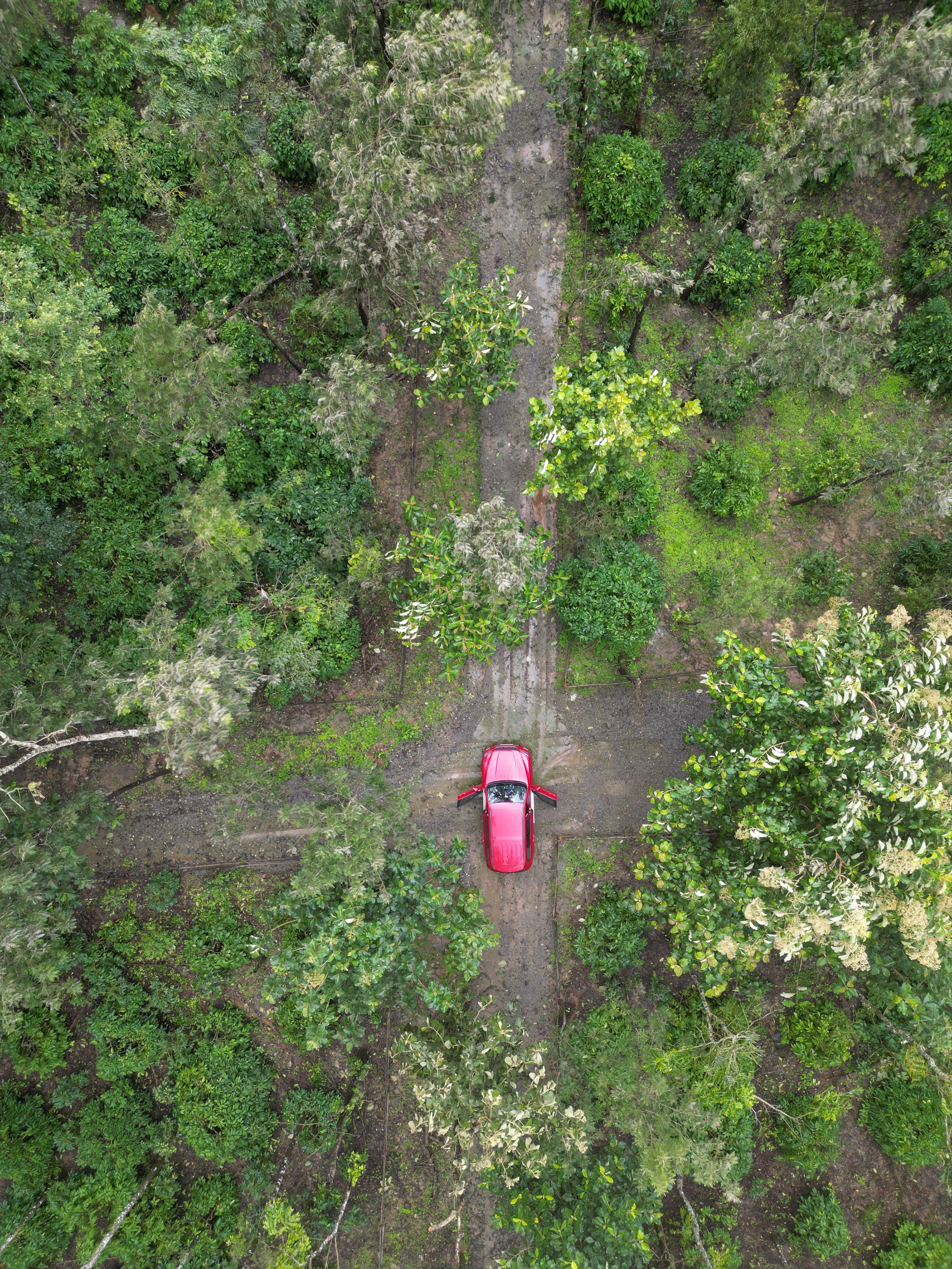 Car Moving Through Sannidhi Dense Forest