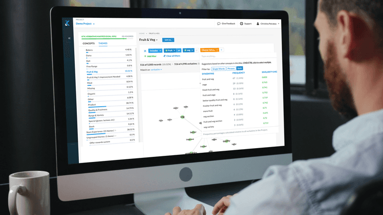 Kapiche auto theming thematic analysis