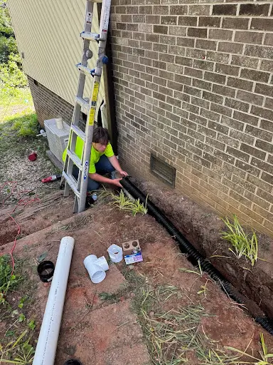 CaneBrake, LawnCare, Lawn,