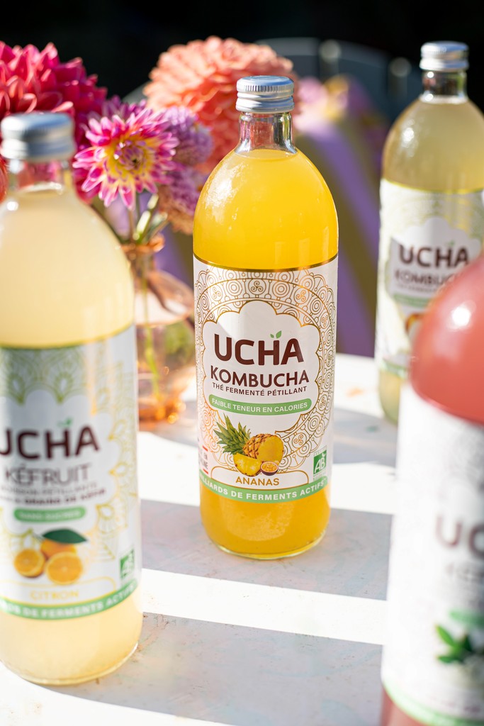 UCHA Bouteille Kombucha Framboise