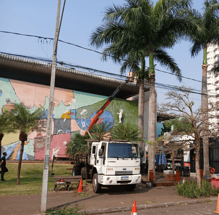 Caminhão Muck Trabalho no Angeloni 01