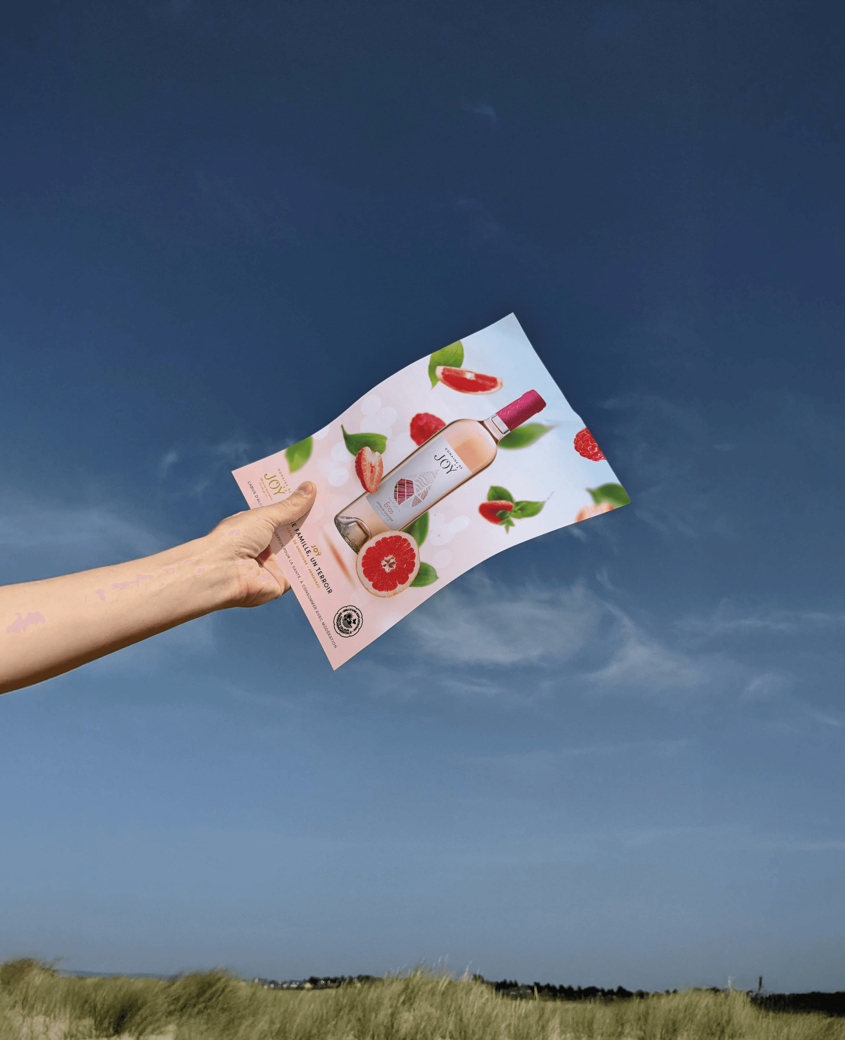 Affiche publicitaire colorée et fruitée pour le vin rosé Eros