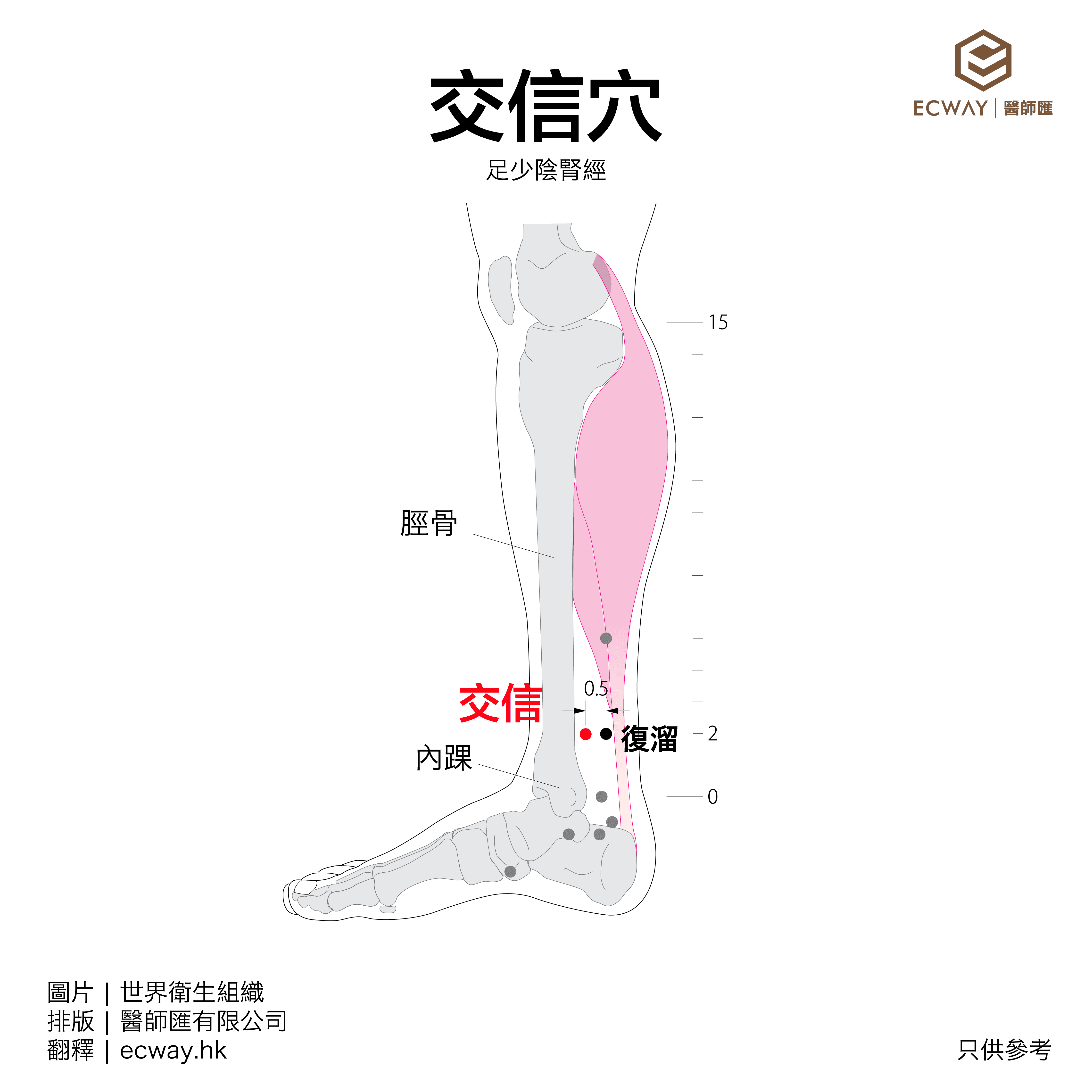 交信穴