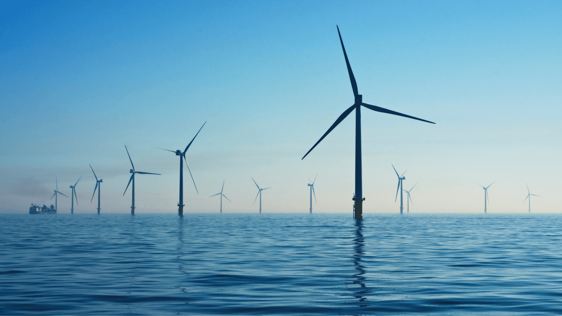 An ocean windfarm