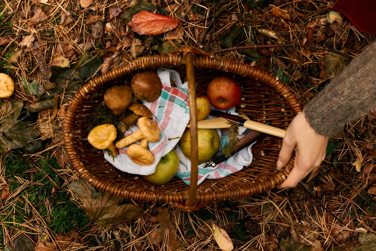 Top-down view of a woven basket filled with assorted fruits and mushrooms on forest ground.
