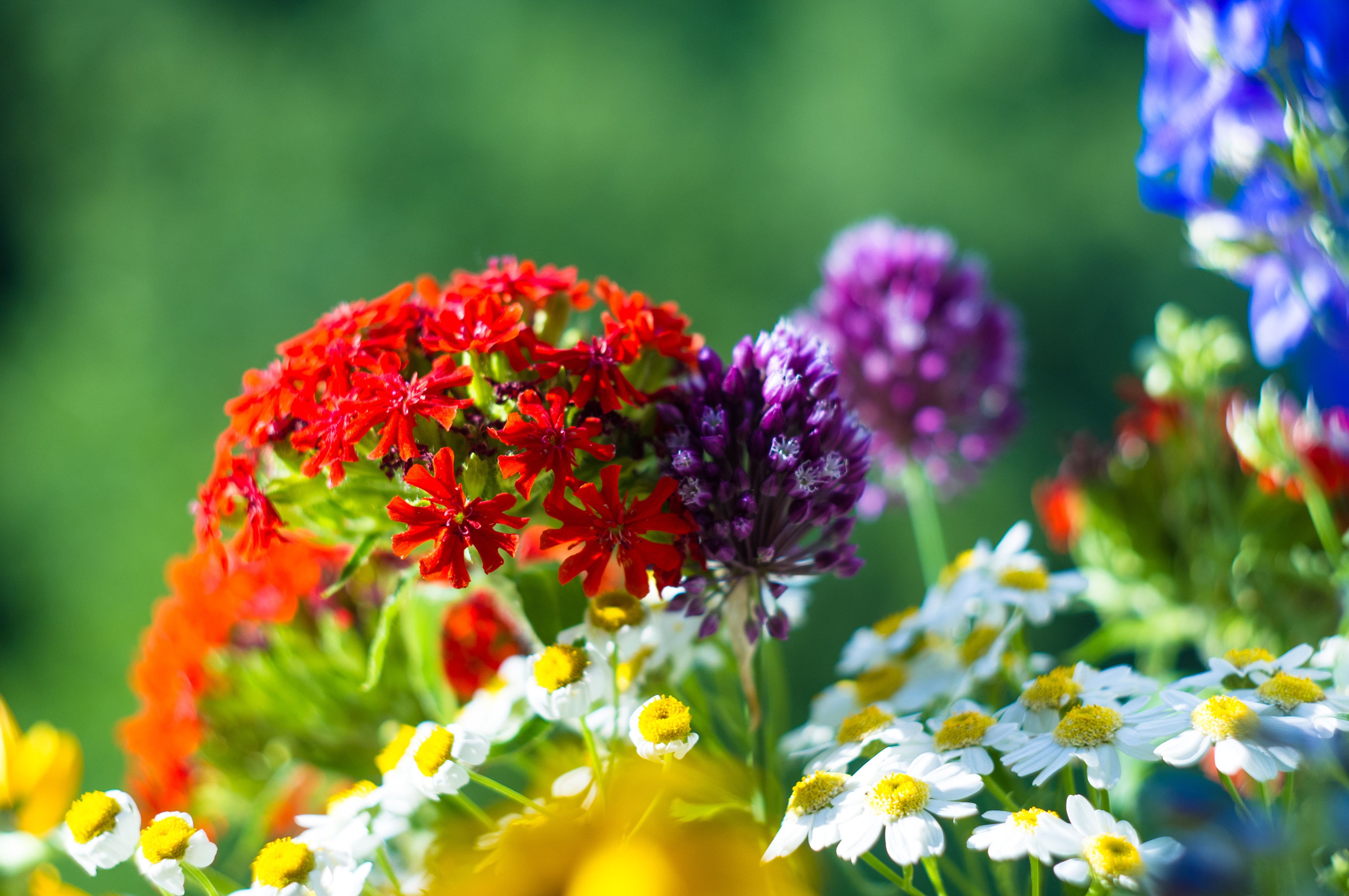 natur