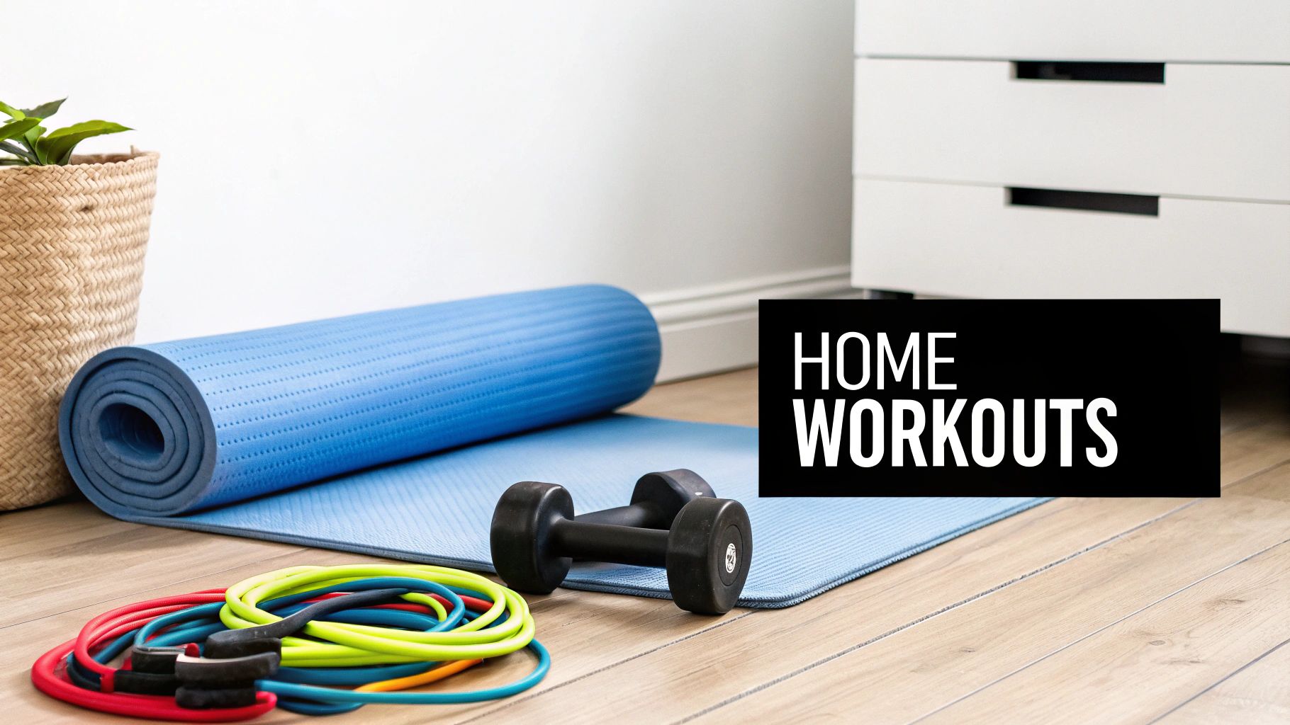 Fitness and Home Gym Equipment