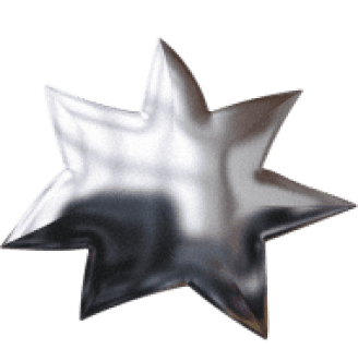 Ctrl & Snap booking star logo