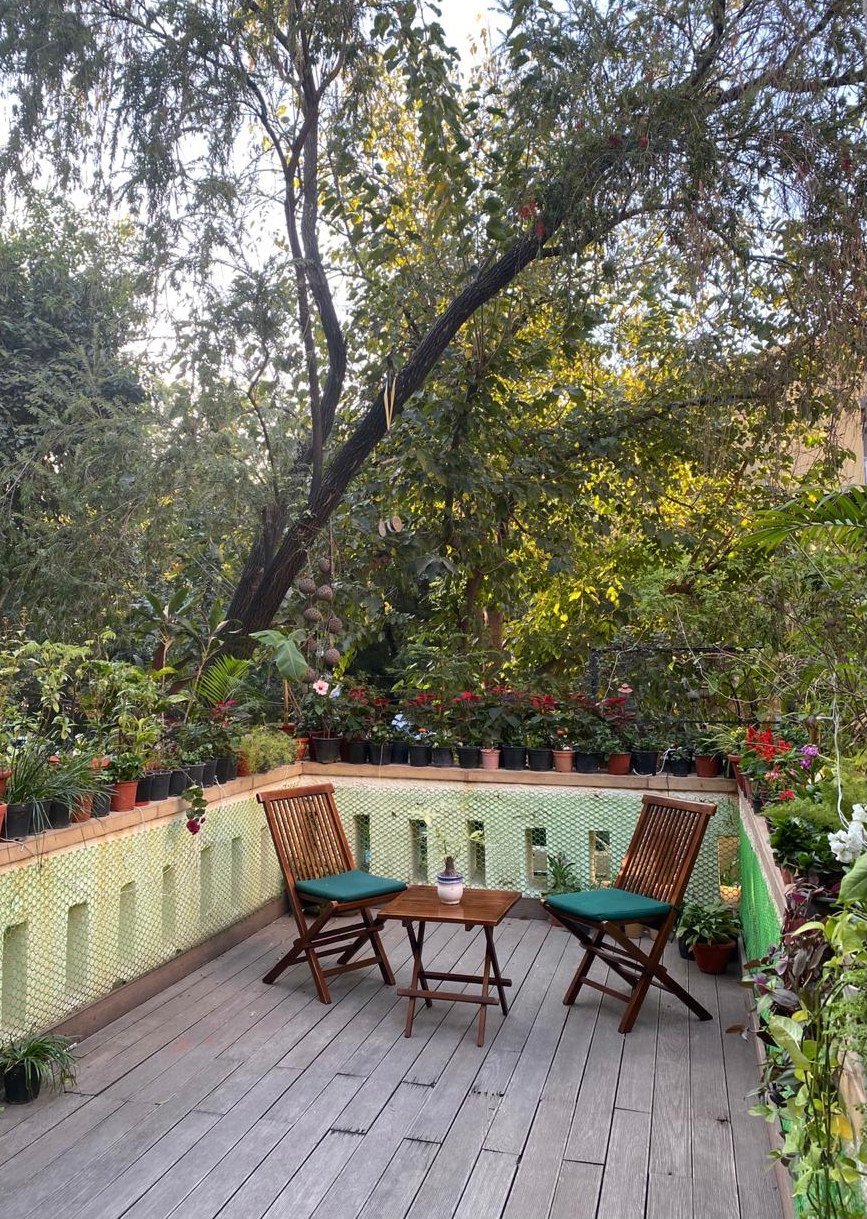 Nature-inspired preschool entrance with sculptural tree partitions and suspended green leaf ceiling panels.