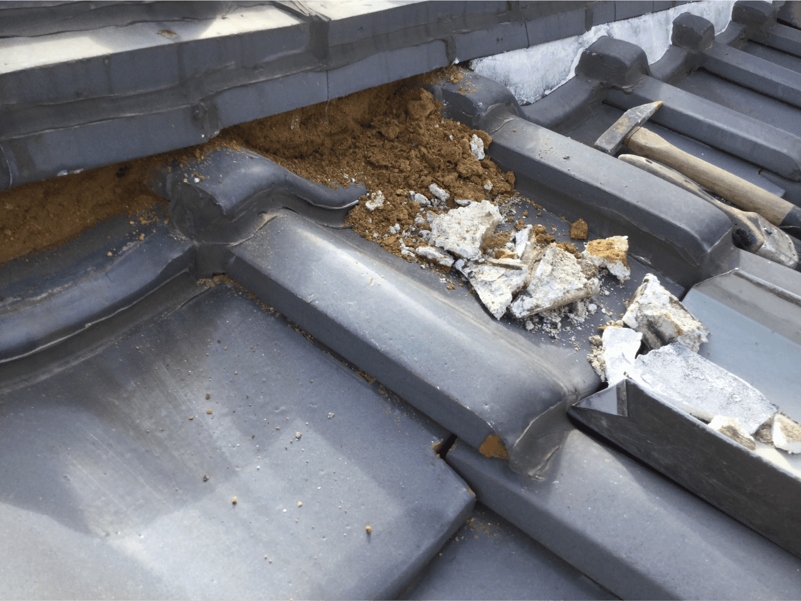 棟の土が出てきてる