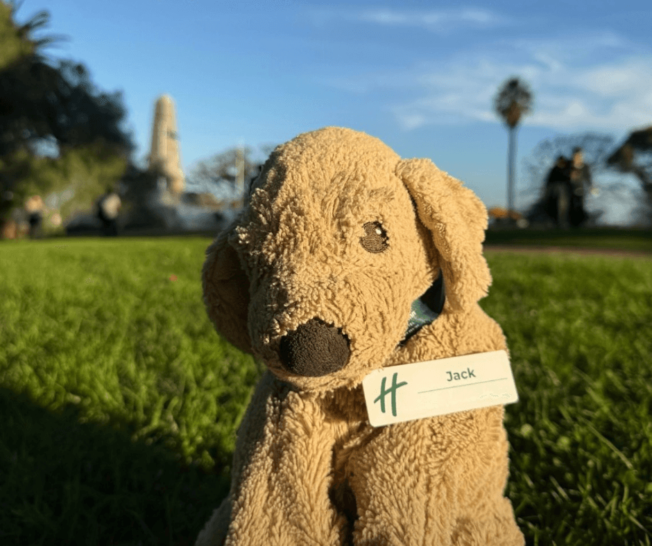 Image of the stuffed dog Jack in a park by Holiday Inn Perth
